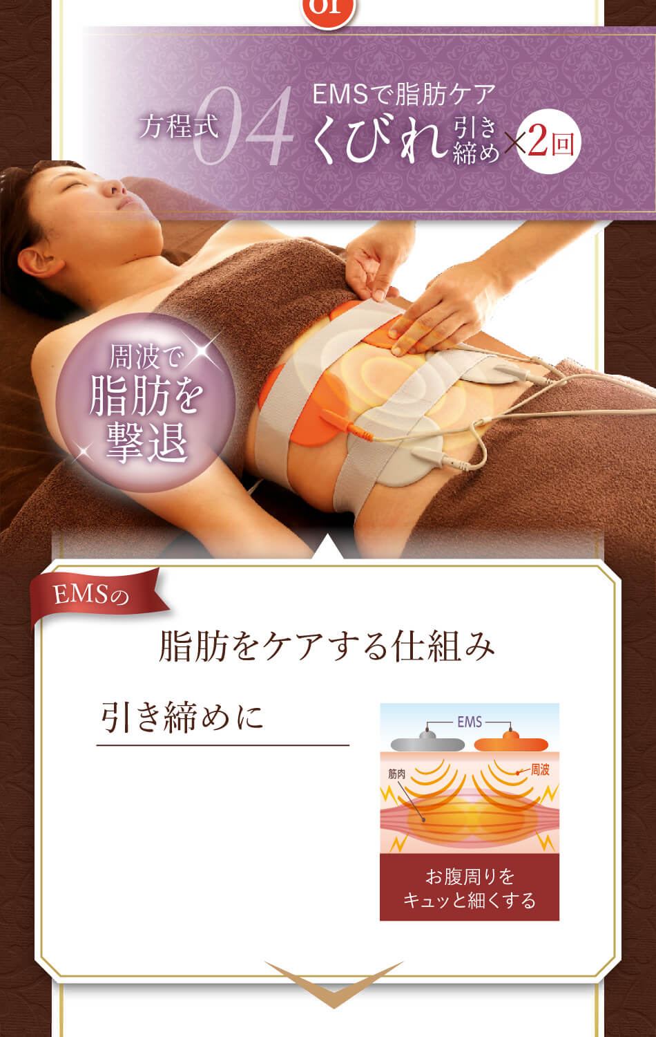 脂肪をケアする仕組み 引き締めに
