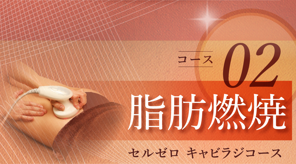脂肪燃焼 セルゼロ キャビラジコース
